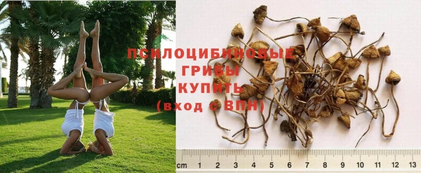 мяу мяу кристалл Няндома