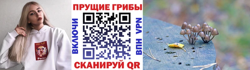 Псилоцибиновые грибы Magic Shrooms  Новоуральск 