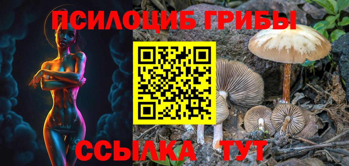 Новоуральск  Псилоцибиновые грибы Psilocybe  Вход с VPN  сколько стоит  Псилоцибиновые грибы мицелий 