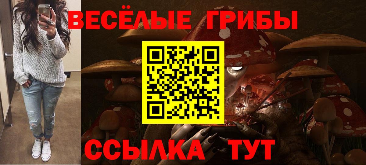 Галлюциногенные грибы мухоморы  Новоуральск  Галлюциногенные грибы Cubensis 